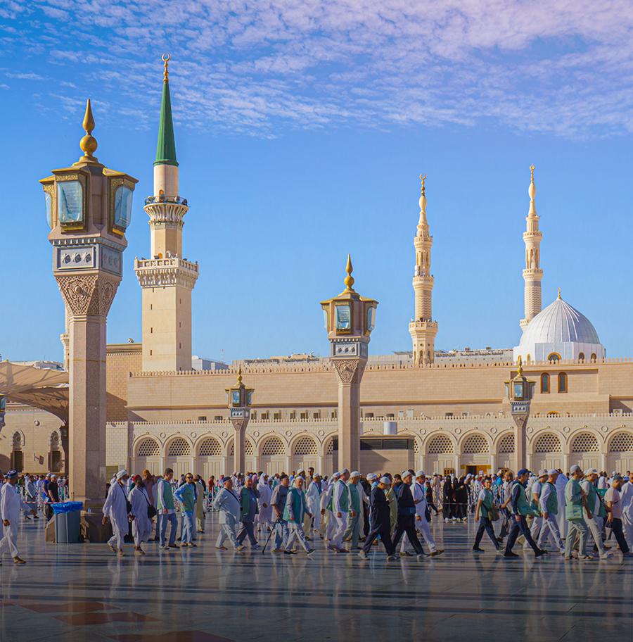 الأنشطة 