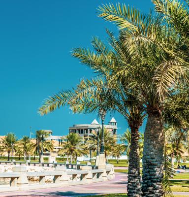 New Hussainiya Park
