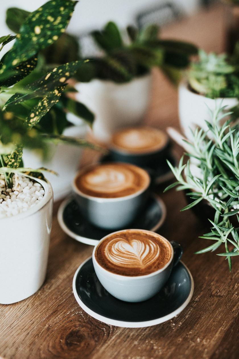 Harlow cafe